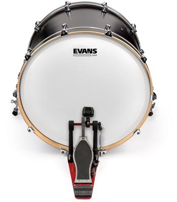 Evans BD18UV1 UV1 Coated 18" Drumhead
