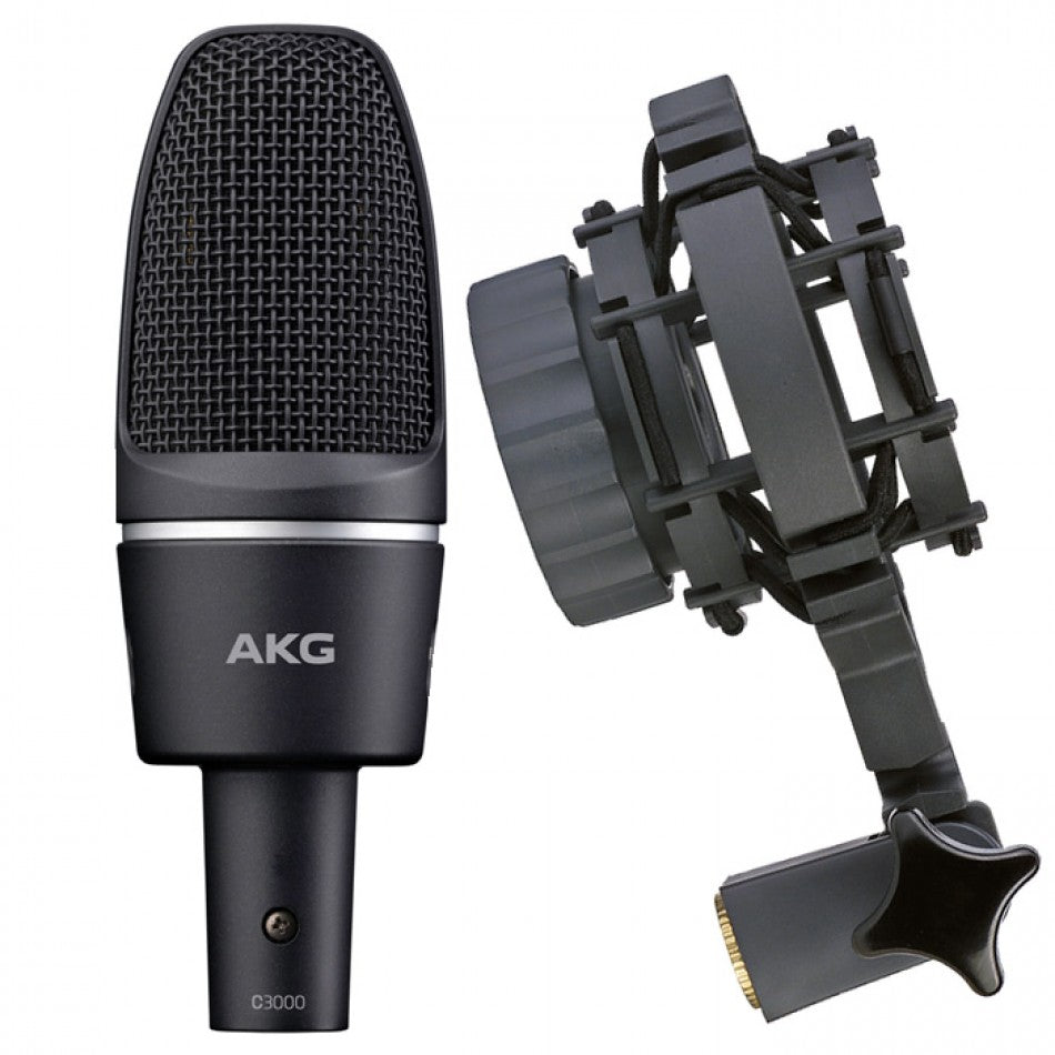 AKGP-C3000