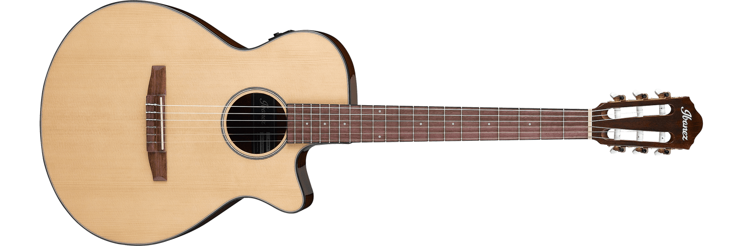 IBANEZ AEG SERIES SPRUCE TOP AEG50N-NT