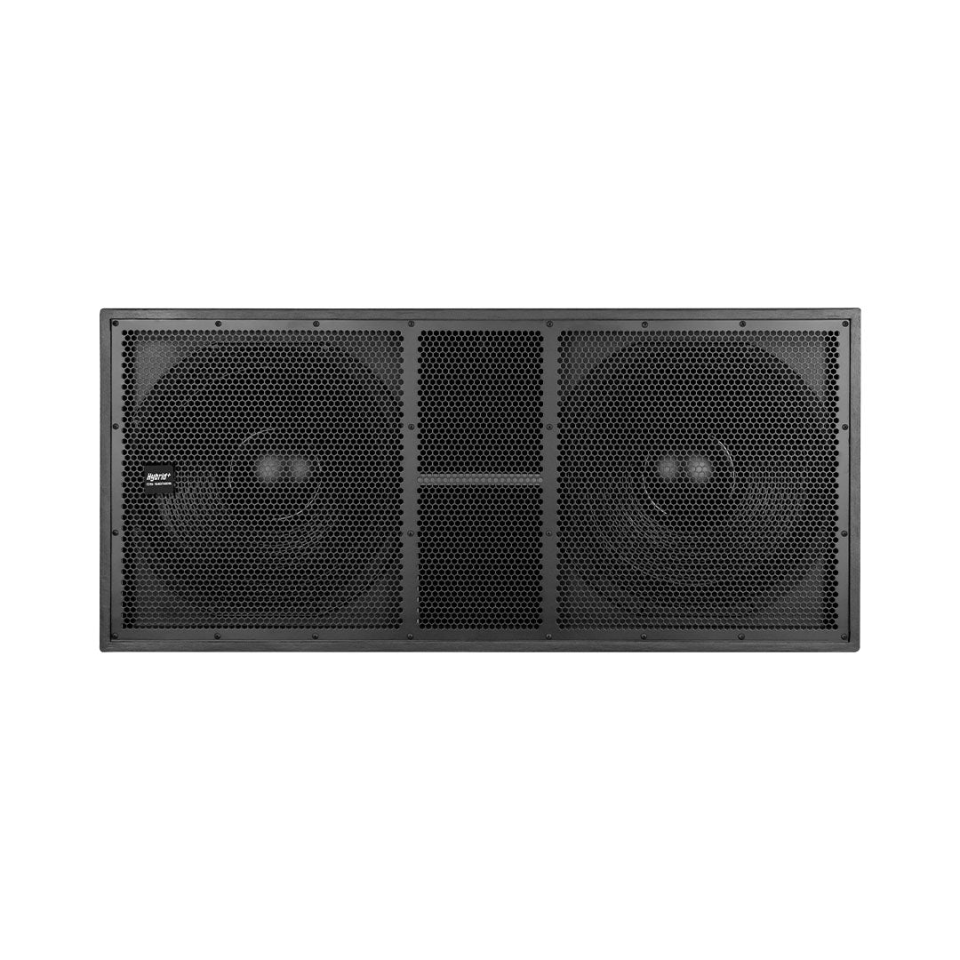 Hybrid Plus DS218 2400/ASS