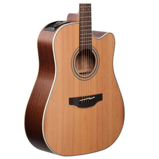 Takamine GD20CENS Dreadnaught Solid Cedar Top with Mahogany Back & Sides - Satin