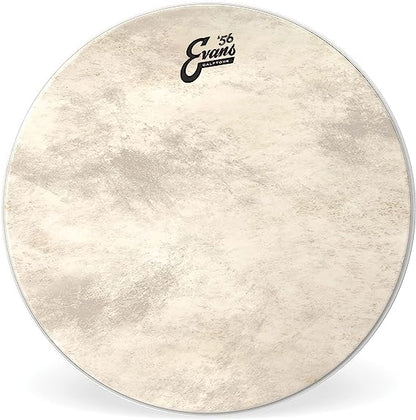 Evans BD18CT Calftone Coated 18" Drumhead