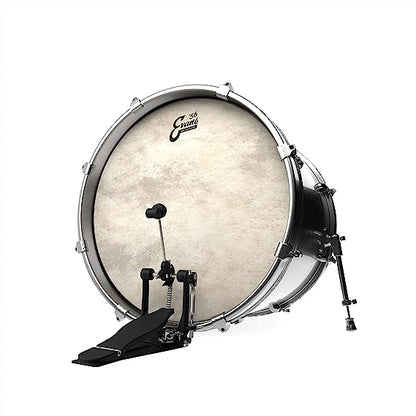 Evans BD22GB4CT EQ4 Calftone Coated 22" Drumhead