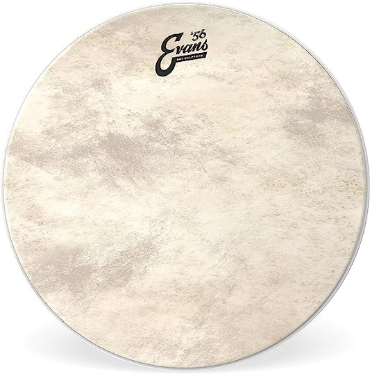 Evans BD22GB4CT EQ4 Calftone Coated 22" Drumhead