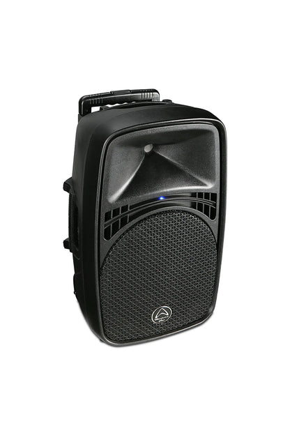 WHARFEDALE-EZ 12A