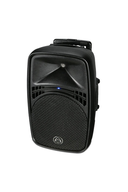WHARFEDALE-EZ 12A
