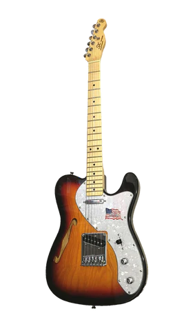 SX TELE ELEC GTR H/BODY NAT