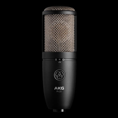 AKGP-P420